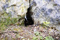 IMG_1821