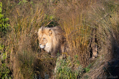 IMG_2501