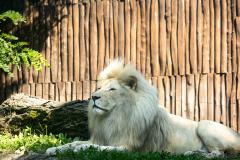 Zoo Bratislava 12.08.25