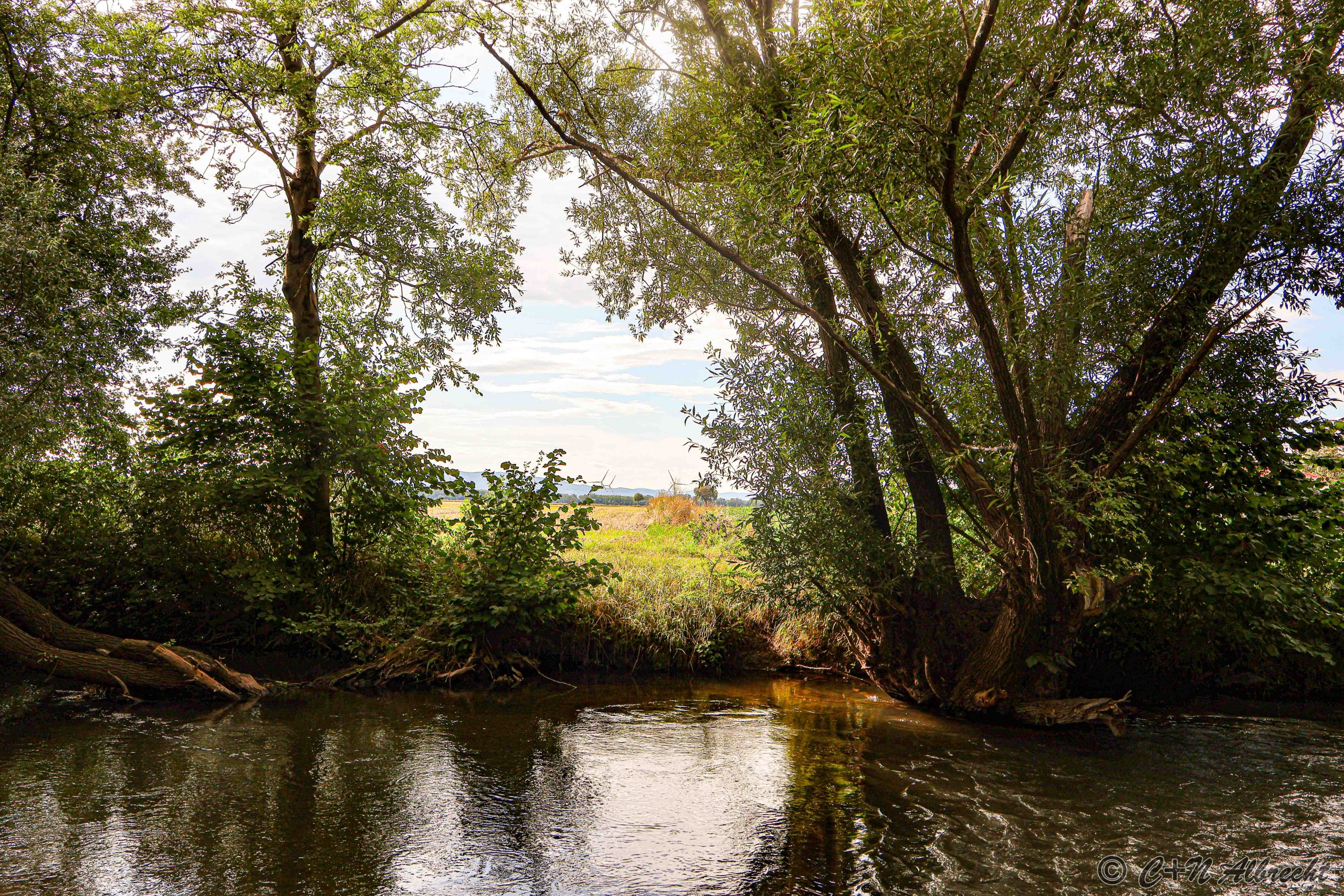 August an der Fischa – Happys Paradies